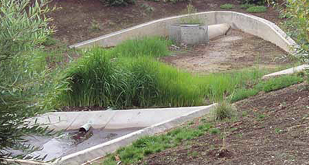 Storm water collection basin.