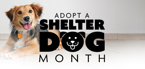 Adopt a Shelter Dog Month Event - October 6-10, 2026.