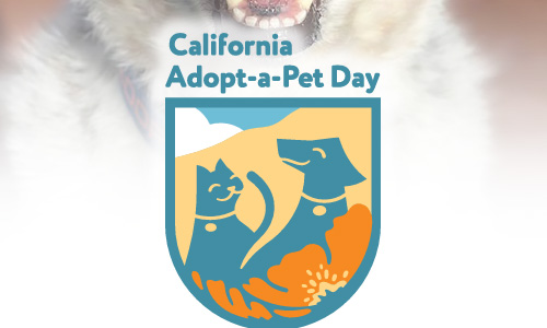 California Pet Adoption Day